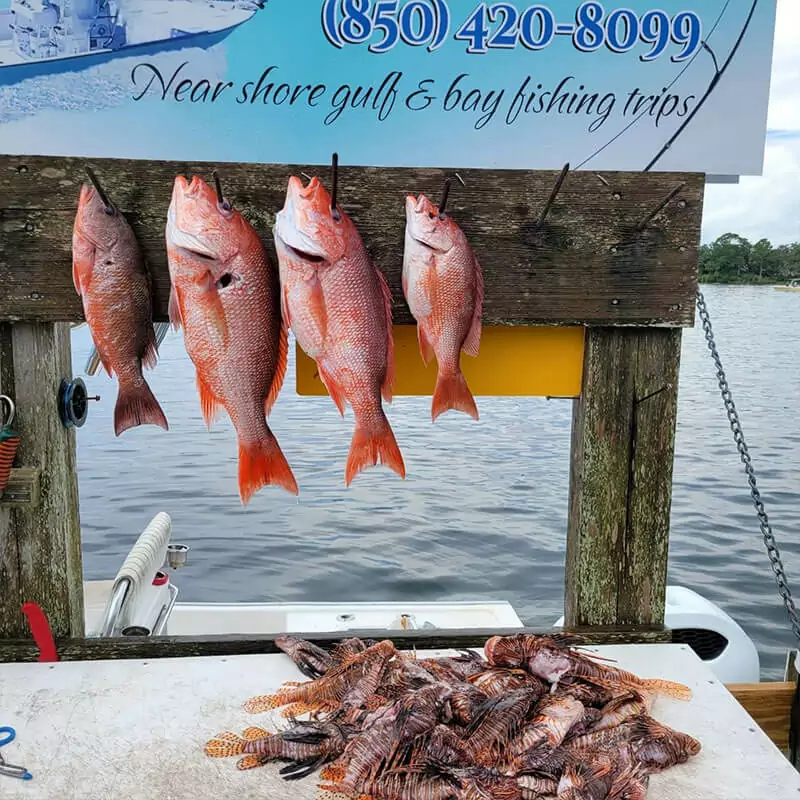 four red fish hanging on hooks at the dock